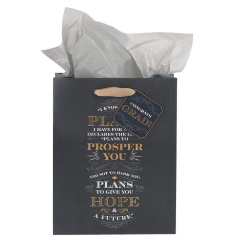 I Know the Plans Gray Medium Gift Bag - Jeremiah 29:11