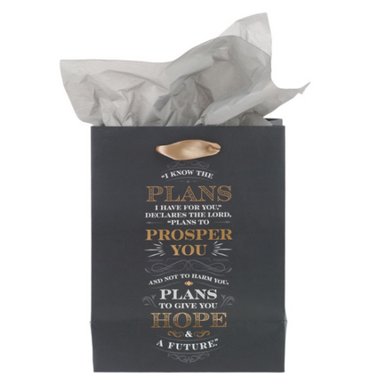 I Know the Plans Gray Medium Gift Bag - Jeremiah 29:11