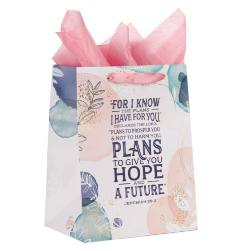 I Know the Plans Large Portrait Gift Bag with Card Set - Jeremiah 29:11