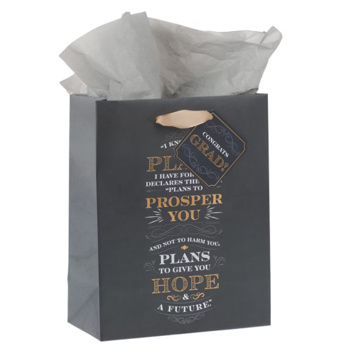 I Know the Plans Gray Medium Gift Bag - Jeremiah 29:11