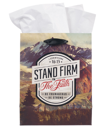 Stand Firm in the Faith Mountain View Medium Gift Bag