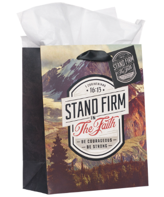 Stand Firm in the Faith Mountain View Medium Gift Bag