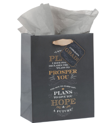 I Know the Plans Gray Medium Gift Bag - Jeremiah 29:11