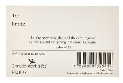 A Savior is Born Christmas Pass Around Card Set - Psalm 96:11